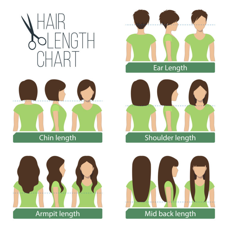 5 Women's Hair Lengths Explained (Charts & Diagrams)