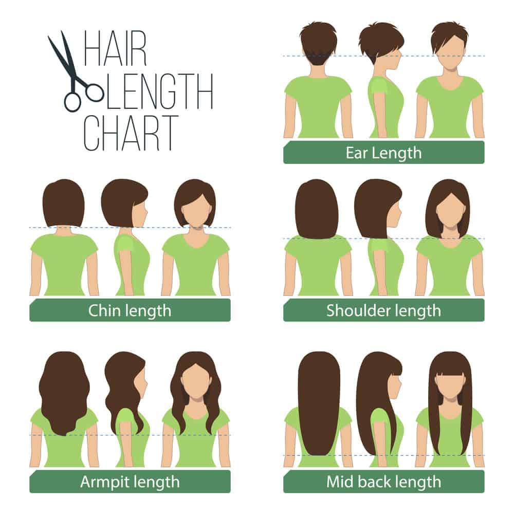 Gráficos do comprimento do cabelo das mulheres - Ilustrado's hair length chart - Illustrated