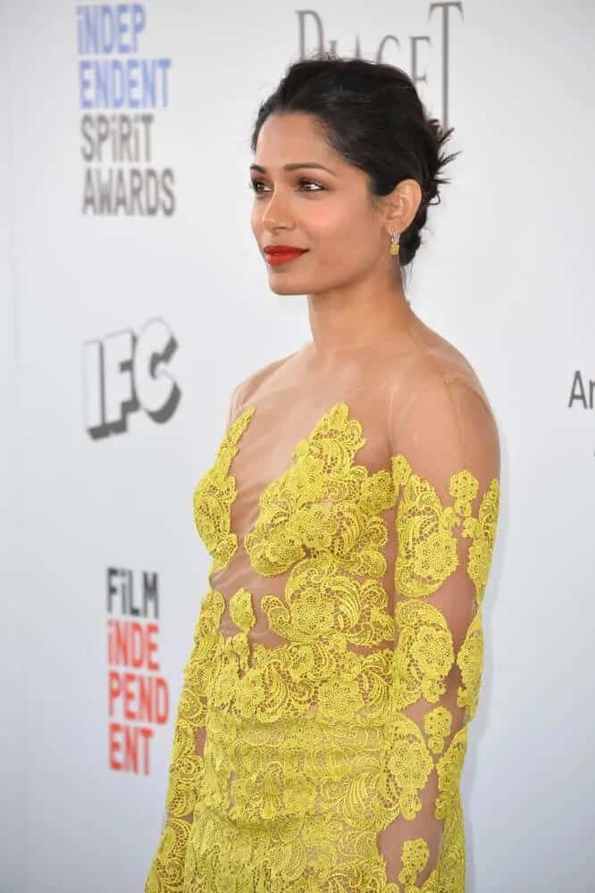 Freida Pinto's embroidered and sheer yellow gown matches well with her simple upstyle with a slight tousle during the 2017 Film Independent Spirit Awards.