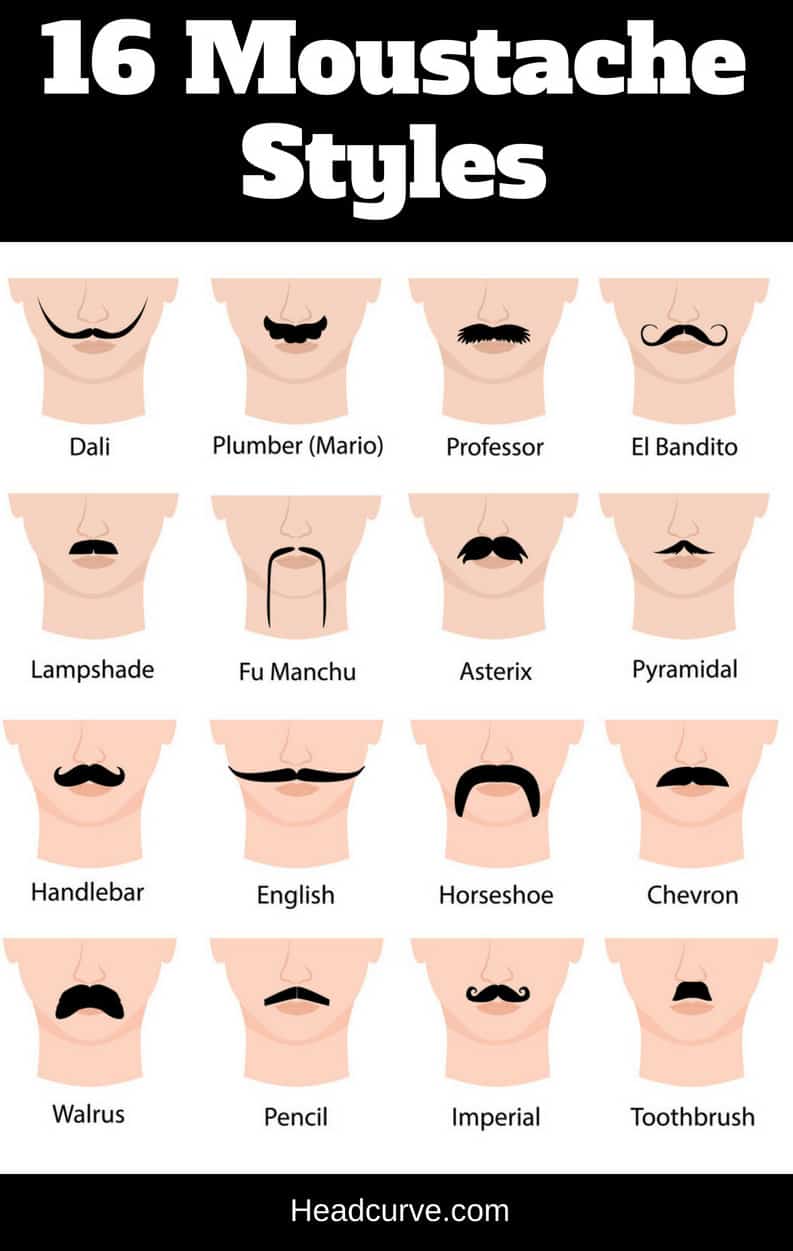 16 Moustache Styles And Names Chart And Illustrations