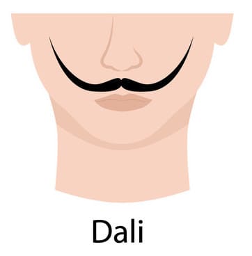 Dali style of mustache