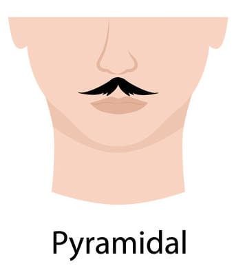 Pyramidal style of mustache