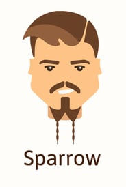 Sparrow beard style example