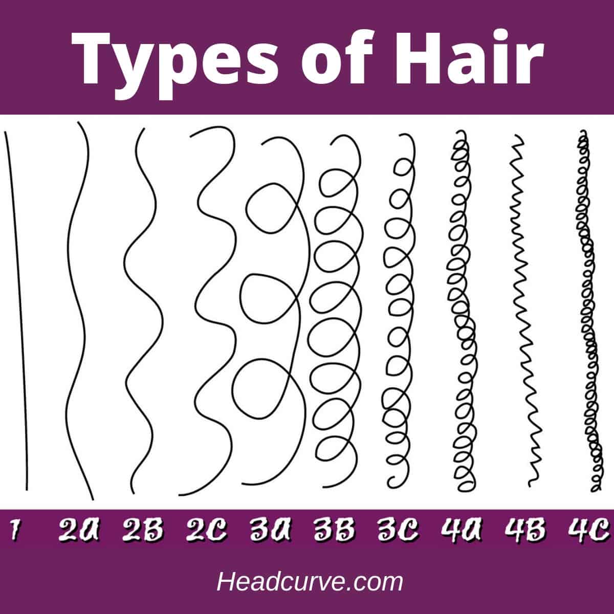 Hair Texture Types Chart