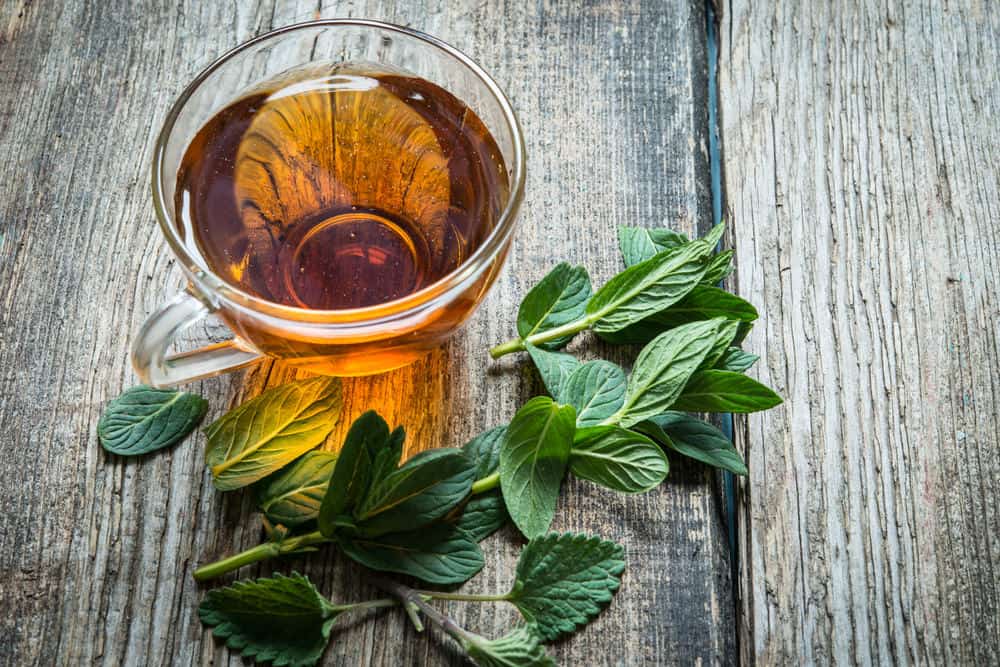 Cup of peppermint tea for hair rinse