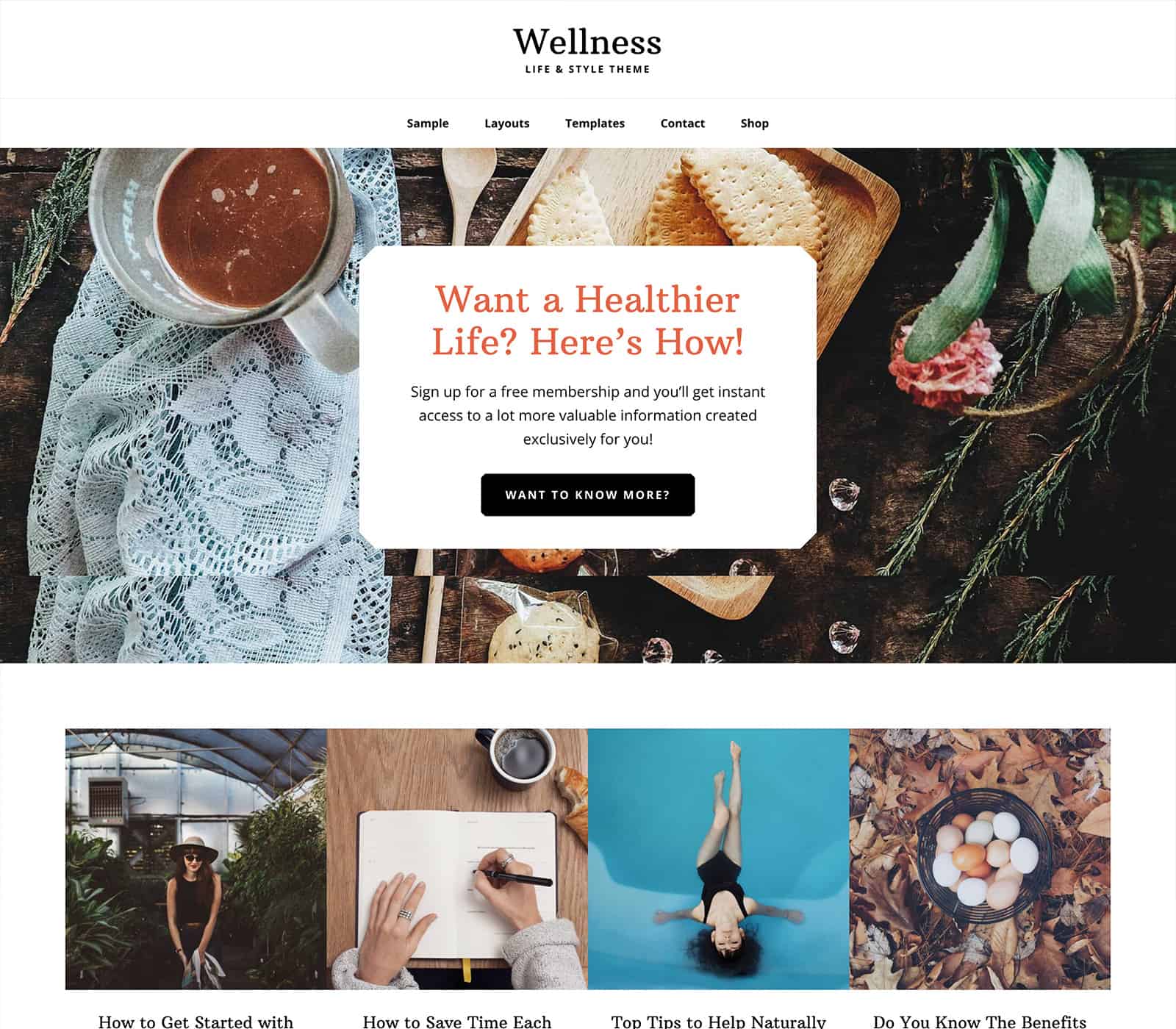 Wellness Pro theme for hair salons