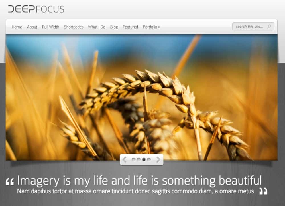 DeepFocus theme for hair salons