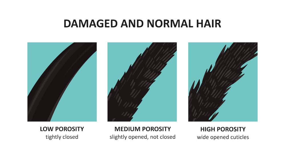 Chart showing different types of hair damage