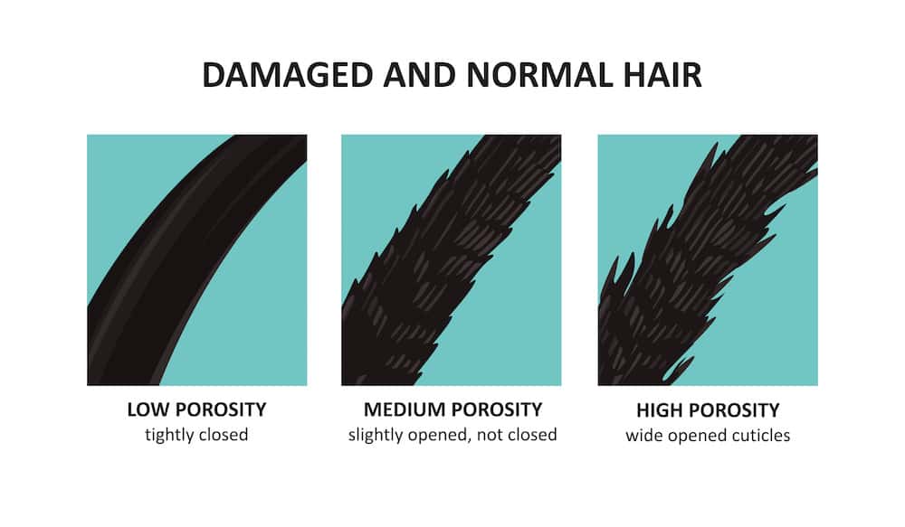 Premium Vector  Types of hair problem alopecia damage gray hair