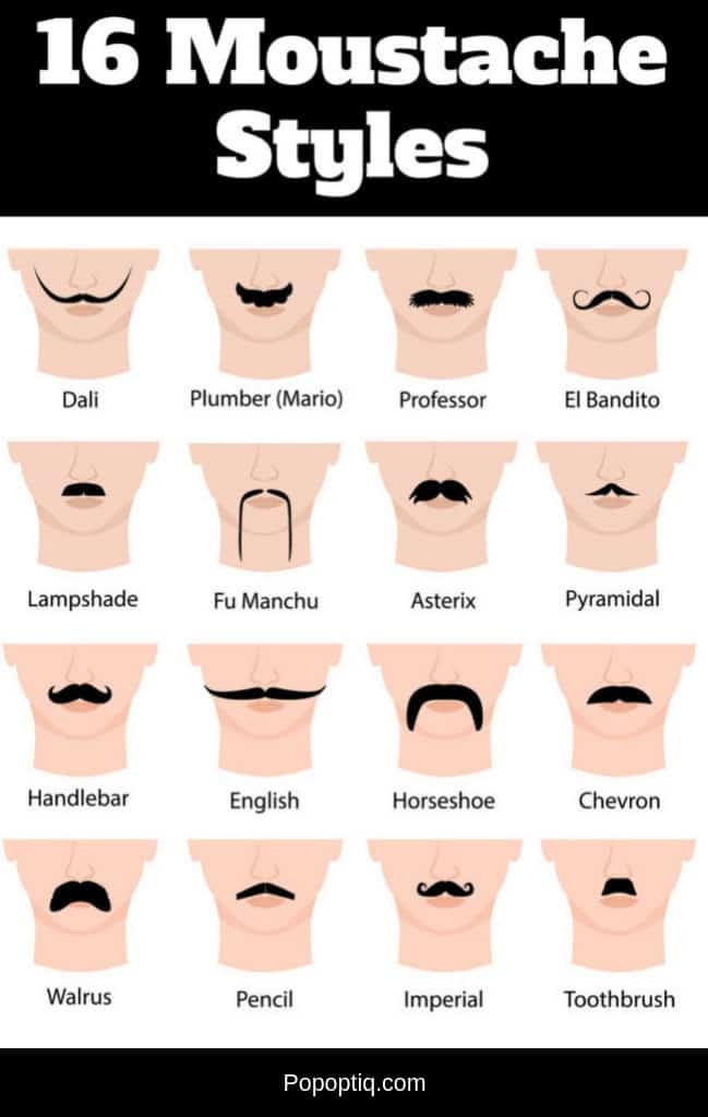 Chart of 16 Mustache Styles