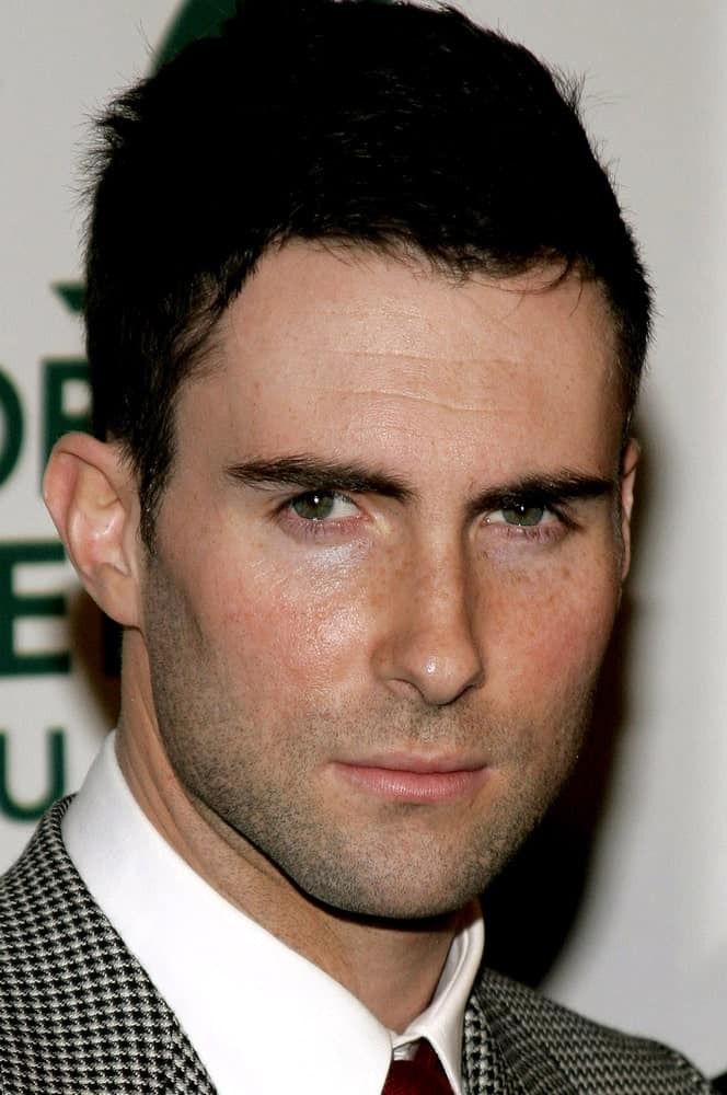 Adam Levine of Maroon 5 attended the Global Green Pre-Oscar Celebration to Benefit Global Warming held at the The Avalon in Hollywood, California on February 21, 2007. He wore a fashion forward suit with his spiked crew cut hairstyle.