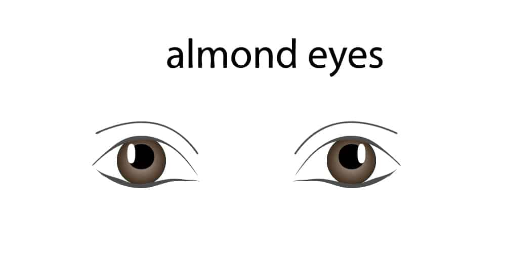 Thin almond eyes