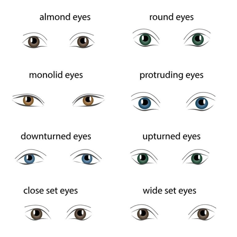 all different eye shapes