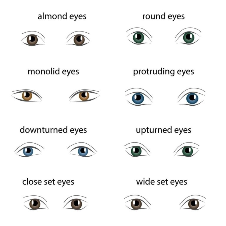 8 Different Types Of Eye Shapes Headcurve