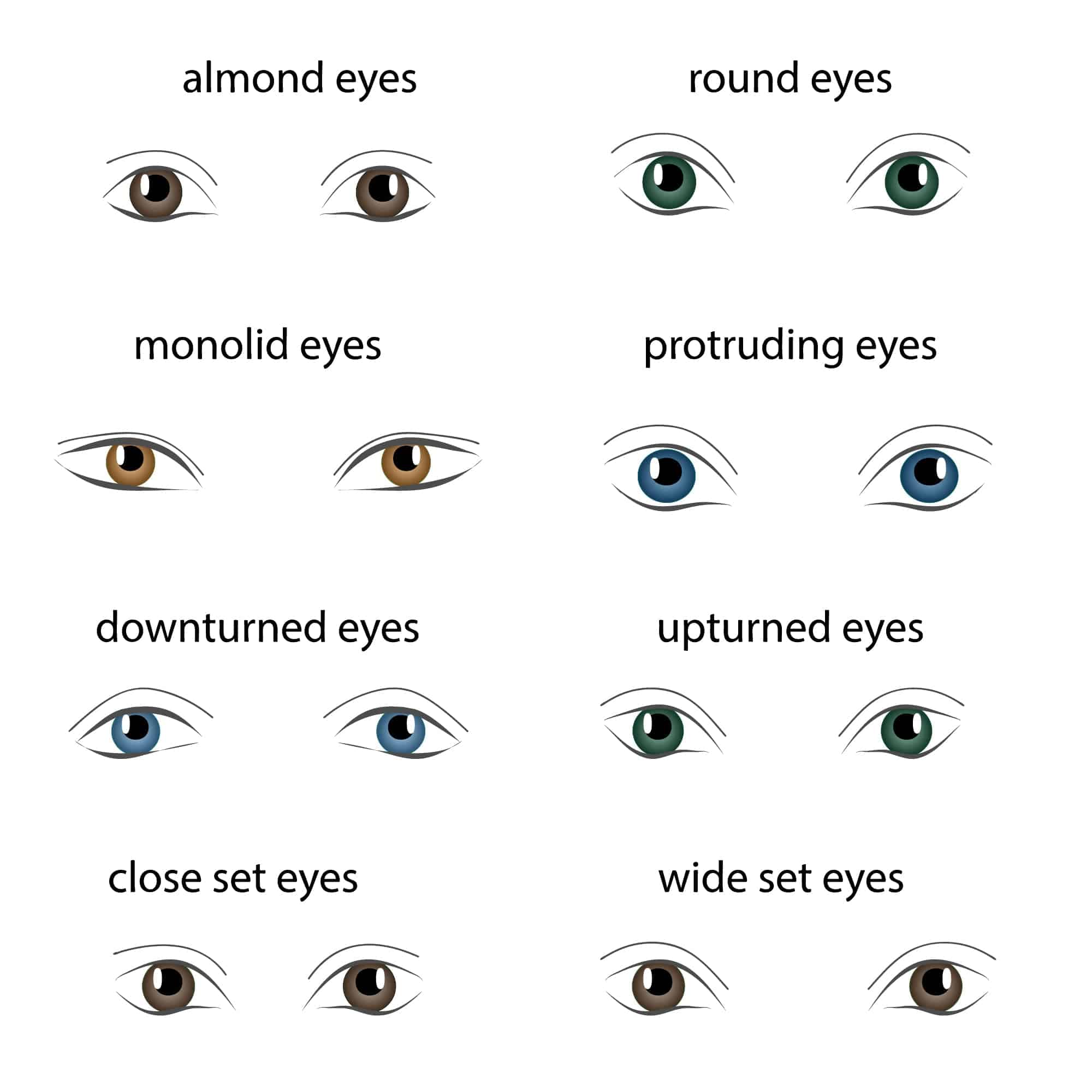 Chart of the different types of eye shapes.