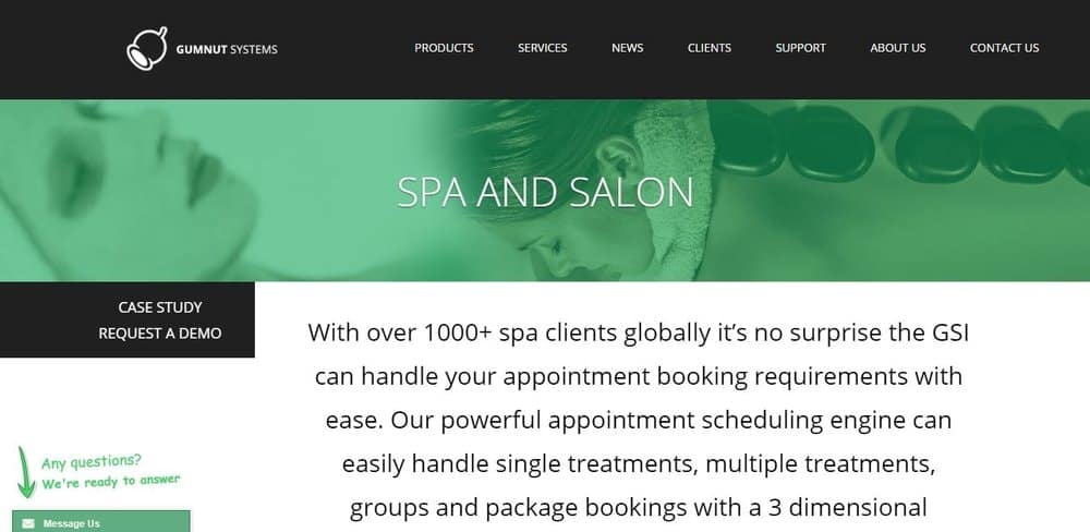 Screenshot of the site homepage for GSI Salon-Spa scheduling software.