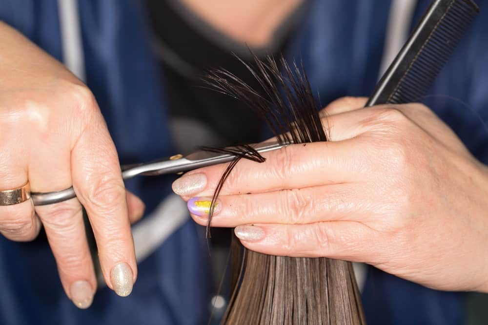 A hair stylist cutting the tips of client's hair with a pair of scissors.