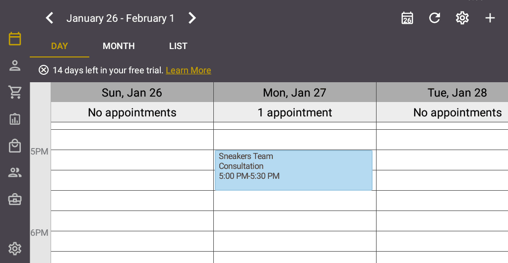 Screenshot of the Salon Iris Software Calendar of Appointments.