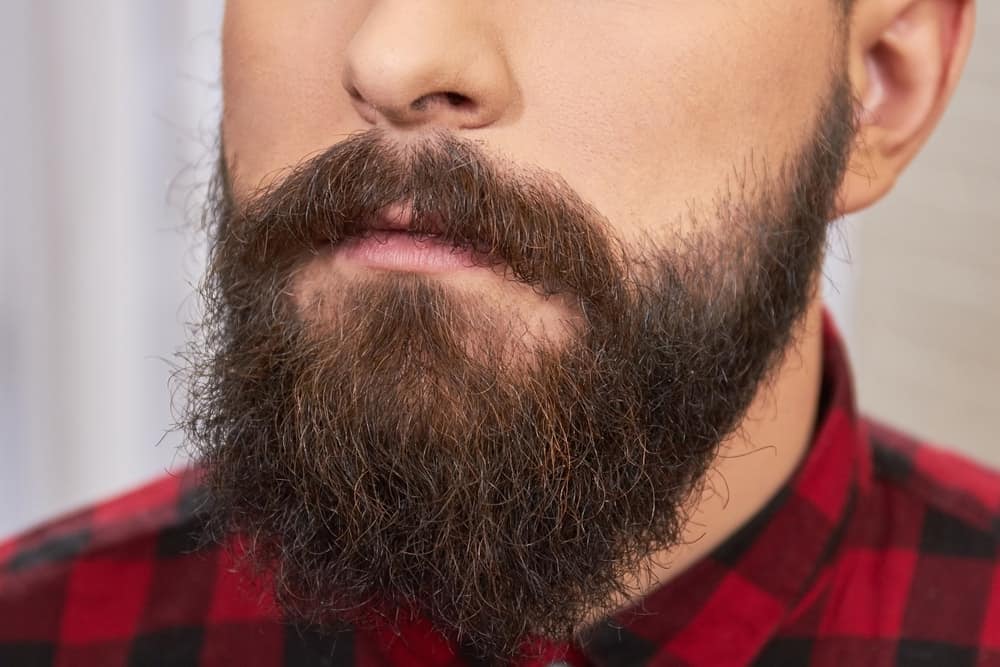 A close look at a man with thick dark beard.